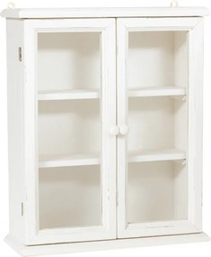 Vitrina suspendata, L48 17 H57 cm