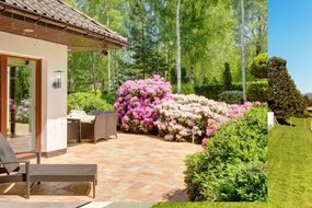 Aplica de perete exterior cu senzor de miscare Outdoor 6211 SRT