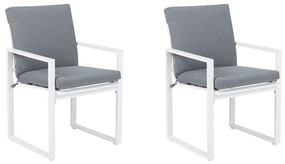 Set scaune 2 buc. Paole (gri). 1011537