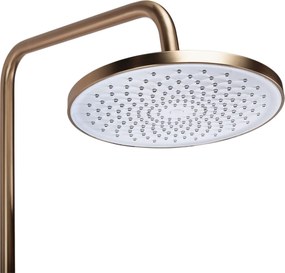 Set dus Rea Ontario Brush Copper