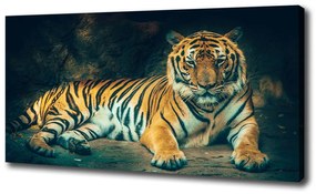 Print pe canvas Tiger cave