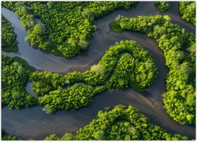 Tablou - Peisaj forestier cu râu (70x50 cm)