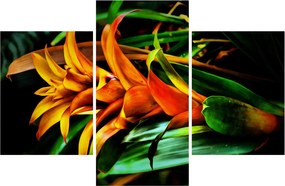Tablou buchetului portocaliu (90x60 cm)