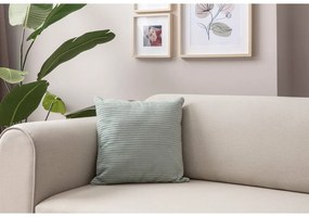 Fețe de pernă 2 buc. din catifea reiată 43x43 cm – Mioli Decor