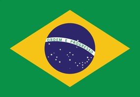 Fototapet - Steagul Braziliei (152,5x104 cm)