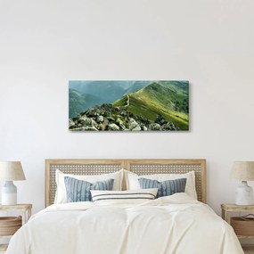 Tablou - Peisaj montan (120x50 cm)