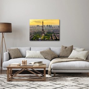 Tablou - Panorama Parisului (70x50 cm)