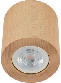 Spot EVE 1xGU10/10W/230V fag