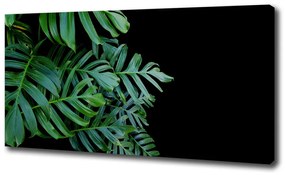 Tablou pe pânză canvas Monstera