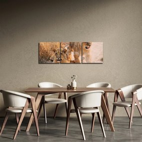 Tablou cu pui de leu (cu ceas) (90x30 cm)