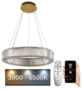 Lustră LED dimabilă pe cablu LED/40W/230V 3000-6500K crom/auriu + telecomandă