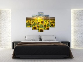 Tablou - Floarea-soarelui la apus de soare (150x105 cm)