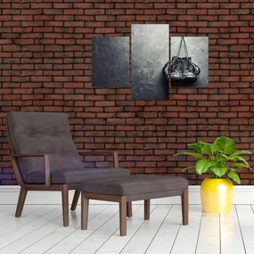 Tablou - Mănuși de box (90x60 cm)