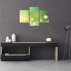 Tablou - Păpădie înflorită (90x60 cm)