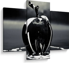 Tablou cu mărul negru (90x60 cm)