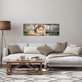 Tablou cu leu (cu ceas) (90x30 cm)