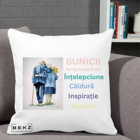 Cadou pentru Bunici - Perna Personalizata Bunicii Sursa Intelepciune Caldura Acuarela, 40x40 cm, Alba Mata, Husa Detasabila, Perna Inclusa, BEKZ®
