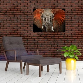 Tablou pe sticlă - Elefanți cu Tsavo (70x50 cm)
