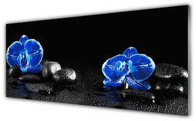 Tablouri acrilice Pietre florale flori albastru negru