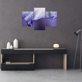 Tablou - Petală cu picături (90x60 cm)