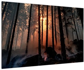 Tablou cu pădure întunecată (90x60 cm)