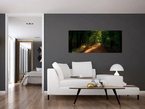 Tablou cu poteca prin pădure (120x50 cm)
