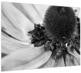 Tablou pe sticlă - Floare în alb-negru (70x50 cm)