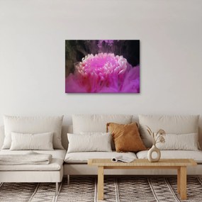 Tablou cu floare în fum roz (70x50 cm)