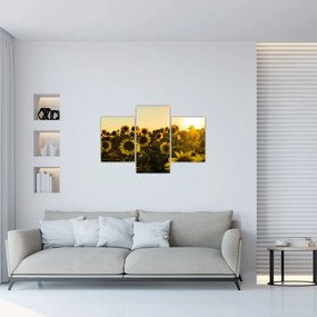 Tablou cu lan de floarea soarelui (90x60 cm)