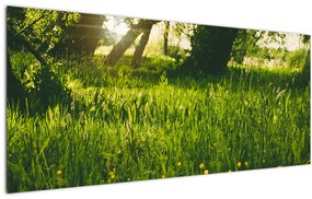 Tablou cu natura - lunca (120x50 cm)