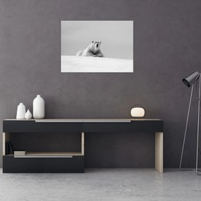 Tablou - Ursul polar (70x50 cm)