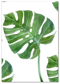 Tablou din Sticlă Monstera