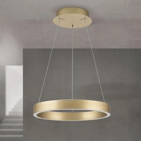 Orion - Lustră LED dimabilă pe cablu KOLK LED/40W/230V 2700/3000/4000K Ø 40 cm aurie