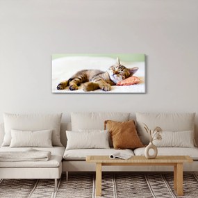 Tablou - Pisicuța adormită (120x50 cm)