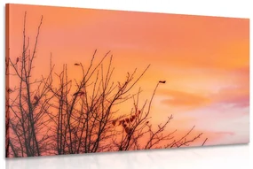 Tablou cerul colorat