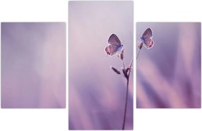 Tablou - Fluturi mov (90x60 cm)