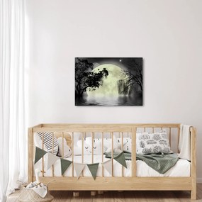 Tablou - Lună plină deasupra apei (70x50 cm)