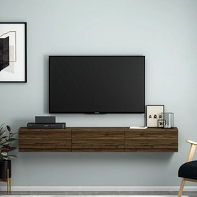 Masă TV Terra Walnut