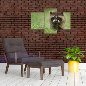 Tablou cu chiuvetă (90x60 cm)