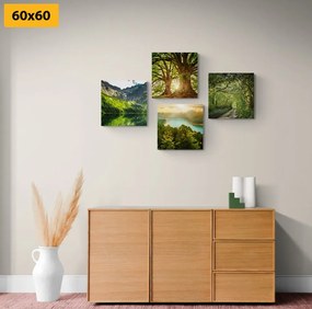 Set tablouri natura verde frumoasă