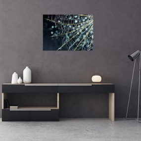 Tablou pe sticlă - Floare cu pânză de pâianjen (70x50 cm)
