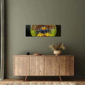 Tablou detailat cu ochii de omidă (cu ceas) (90x30 cm)