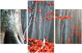 Tablou - Toamna (90x60 cm)