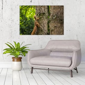 Tablou - Veverița (90x60 cm)