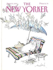 Ilustrație The NY Magazine Cover 522