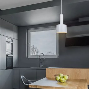 Rabalux 5601 - Lustră pe cablu ELLIOT 1xE14/25W/230V