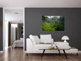 Tablou cu terasele cu orez Tegalalang, Bali (90x60 cm)