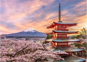 Tablou - Fuji,Japonia (70x50 cm)