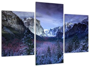 Tablou - Yosemite, USA (90x60 cm)