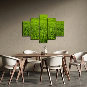 Tablou cu iaraba (150x105 cm)